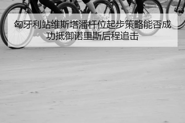 xiong-ya-li-zhan-wei-si-ta-pan-gan-wei-qi-bu-ce-lve-neng-fou-cheng-gong-di-yu-nuo-li-si-hou-cheng-zhui-ji-2-964.jpg