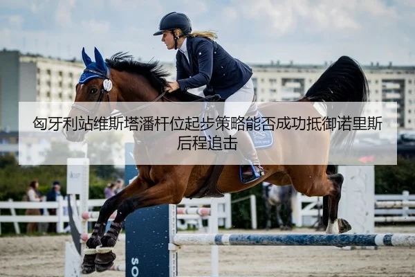 匈牙利站维斯塔潘杆位起步策略能否成功抵御诺里斯后程追击
